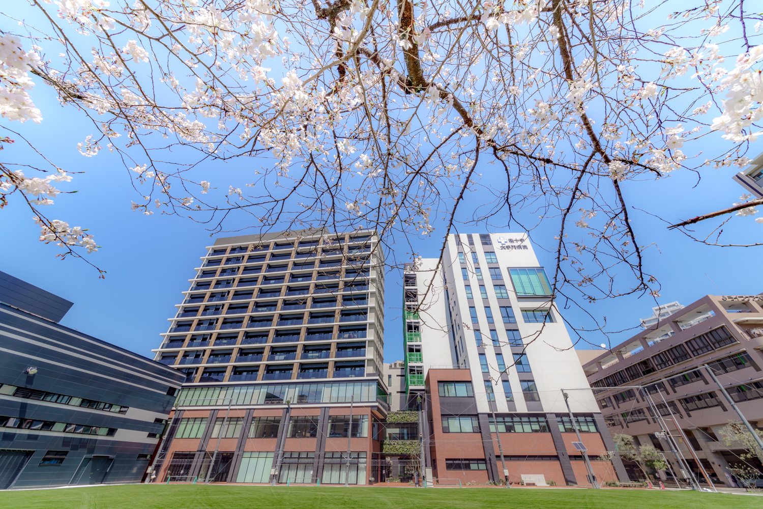 chu→boh 07度卒業式→08年度入学式　サイン入りプログラム 桜十字福岡病院2025年度 福岡桜十字の入社式を行いました | 桜十字福岡病院